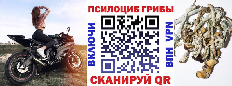 Галлюциногенные грибы Magic Shrooms  Петровск-Забайкальский 